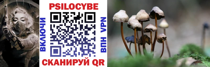 Купить закладки  Дно  Галлюциногенные грибы GOLDEN TEACHER 